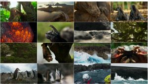دانلود فصل دوم مستند سیاره زمین BBC: Planet Earth II 2016 دانلود قسمت اول فصل دوم مستند سیاره زمین Planet Earth 2 2016 S02-E01