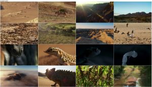 دانلود فصل دوم مستند سیاره زمین BBC: Planet Earth II 2016 دانلود قسمت چهارم فصل دوم مستند سیاره زمین Planet Earth 2 2016 S02-E04