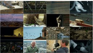دانلود فصل دوم مستند سیاره زمین BBC: Planet Earth II 2016 دانلود قسمت ششم فصل دوم مستند سیاره زمین Planet Earth 2 2016 S02-E06