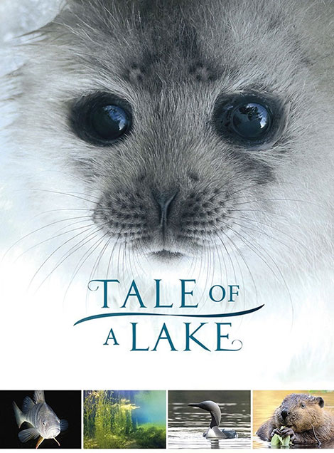 دانلود مستند داستان یک دریاچه Tale of a Lake 2016 دانلود مستند داستان یک دریاچه Tale of a Lake 2016