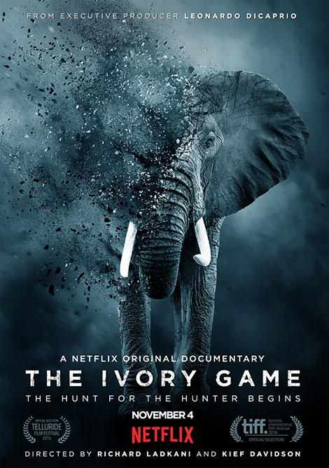 دانلود دوبله فارسی مستند بازی عاج و تخت The Ivory Game 2016 دانلود مستند بازی عاج The Ivory Game 2016
