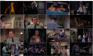 دانلود دوبله فارسی فیلم توده چسبنده The Blob 1958 دانلود فیلم توده چسبنده با دوبله فارسی