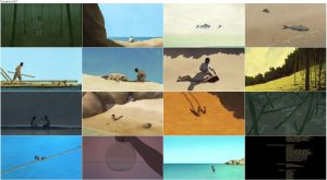 دانلود انیمیشن لاک پشت قرمز The Red Turtle 2016 دانلود انیمیشن لاک پشت قرمز The Red Turtle 2016