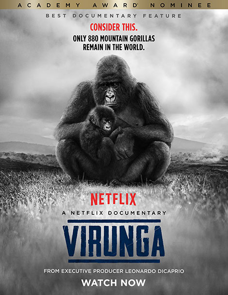 دانلود دوبله فارسی مستند ویرونگا Virunga 2014 دانلود دوبله فارسی مستند ویرونگا Virunga 2014