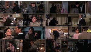 دانلود دوبله فارسی فیلم Wait Until Dark 1967 دانلود دوبله فارسی فیلم Wait Until Dark 1967