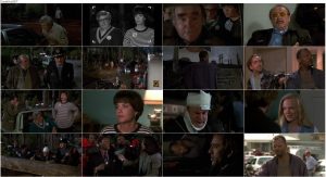 دانلود دوبله فارسی فیلم آموس و اندرو Amos & Andrew 1993 دانلود فیلم آموس و اندرو با دوبله فارسی