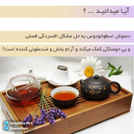 دانستنی های گیاهان دارویی, خواص داروهای گیاهی, آیا میدانید, طب سنتی, درمان گیاهی, فواید میوه ها, خواص درمانی حبوبات, گیاه درمانی, میوه درمانی, درمان های طبیعی
