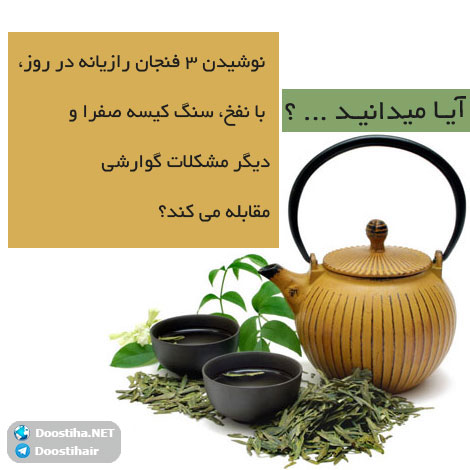 دانستنی های آموزنده از گیاهان دارویی و درمانی (سری 9) دانستنی های گیاهان دارویی, خواص داروهای گیاهی, آیا میدانید, طب سنتی, درمان گیاهی, فواید میوه ها, خواص درمانی حبوبات, گیاه درمانی, میوه درمانی, درمان های طبیعی