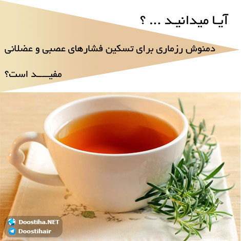 دانستنی های آموزنده از گیاهان دارویی و درمانی (سری 9) دانستنی های گیاهان دارویی, خواص داروهای گیاهی, آیا میدانید, طب سنتی, درمان گیاهی, فواید میوه ها, خواص درمانی حبوبات, گیاه درمانی, میوه درمانی, درمان های طبیعی