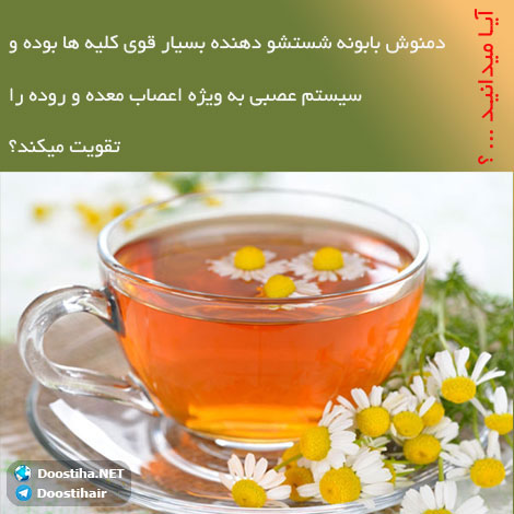 دانستنی های آموزنده از گیاهان دارویی و درمانی (سری 9) دانستنی های گیاهان دارویی, خواص داروهای گیاهی, آیا میدانید, طب سنتی, درمان گیاهی, فواید میوه ها, خواص درمانی حبوبات, گیاه درمانی, میوه درمانی, درمان های طبیعی