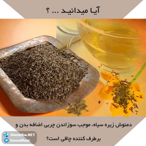 دانستنی های آموزنده از گیاهان دارویی و درمانی (سری 9) دانستنی های گیاهان دارویی, خواص داروهای گیاهی, آیا میدانید, طب سنتی, درمان گیاهی, فواید میوه ها, خواص درمانی حبوبات, گیاه درمانی, میوه درمانی, درمان های طبیعی