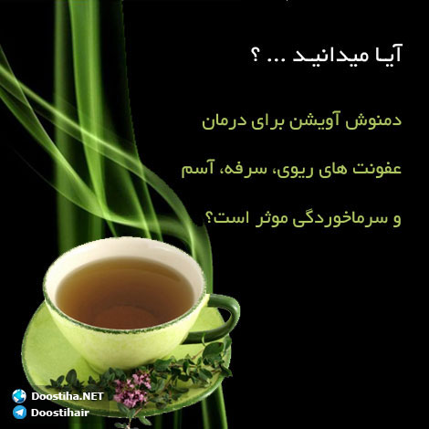 دانستنی های آموزنده از گیاهان دارویی و درمانی (سری 9) دانستنی های گیاهان دارویی, خواص داروهای گیاهی, آیا میدانید, طب سنتی, درمان گیاهی, فواید میوه ها, خواص درمانی حبوبات, گیاه درمانی, میوه درمانی, درمان های طبیعی