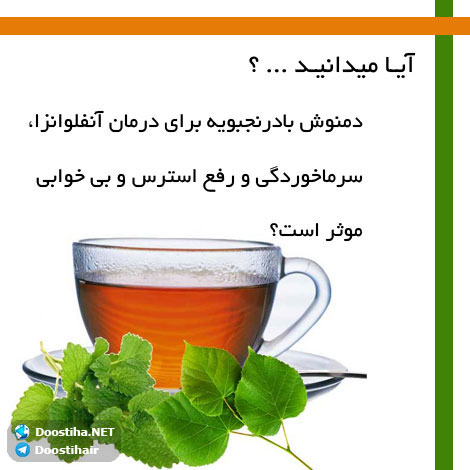 دانستنی های آموزنده از گیاهان دارویی و درمانی (سری 9) دانستنی های گیاهان دارویی, خواص داروهای گیاهی, آیا میدانید, طب سنتی, درمان گیاهی, فواید میوه ها, خواص درمانی حبوبات, گیاه درمانی, میوه درمانی, درمان های طبیعی