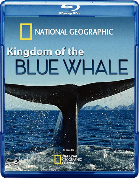 دانلود مستند قلمرو نهنگ آبی Kingdom of the Blue Whale 2009 دانلود مستند قلمرو نهنگ آبی Kingdom of the Blue Whale 2009
