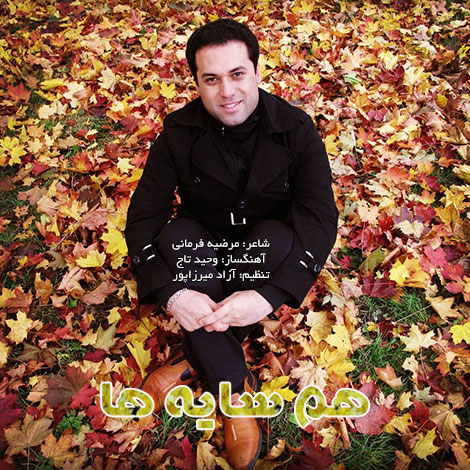 دانلود آهنگ تیتراژ سریال هم سایه ها با صدای وحید تاج دانلود آهنگ تیتراژ سریال هم سایه ها با صدای وحید تاج