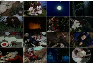 دانلود انیمیشن Blood Tea and Red String 2006 دانلود انیمیشن Blood Tea and Red String 2006