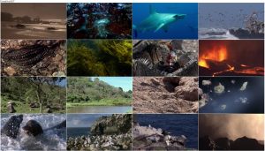 دانلود دوبله فارسی مستند سریالی گالاپاگوس Galápagos 2006 دانلود قسمت اول مستند گالاپاگوس Galapagos 2006