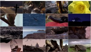 دانلود دوبله فارسی مستند سریالی گالاپاگوس Galápagos 2006 دانلود قسمت دوم مستند گالاپاگوس Galapagos 2006