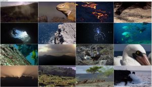 دانلود دوبله فارسی مستند سریالی گالاپاگوس Galápagos 2006 دانلود قسمت سوم مستند گالاپاگوس Galapagos 2006
