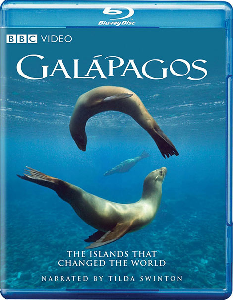 دانلود دوبله فارسی مستند سریالی گالاپاگوس Galápagos 2006 دانلود دوبله فارسی مستند سریالی گالاپاگوس Galápagos 2006