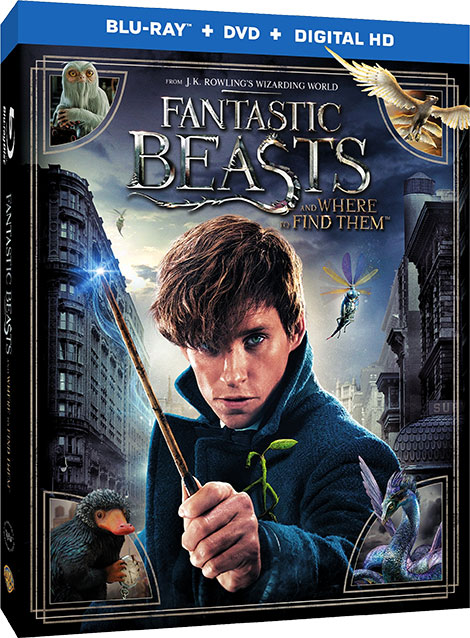 دانلود فیلم Fantastic Beasts and Where to Find Them 2016 دانلود دوبله فارسی فیلم Fantastic Beasts and Where to Find Them 2016