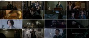 دانلود فیلم Fantastic Beasts and Where to Find Them 2016 دانلود فیلم جانواران شگفت انگیز و زیستگاه آنها با دوبله فارسی