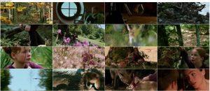 دانلود دوبله فارسی فیلم The Fox and the Child 2007 دانلود فیلم کودک و روباه با دوبله فارسی