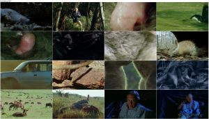 دانلود دوبله فارسی مستند The Life of Mammals 2002 The Life of Mammals 2002 E01 A Winning Design