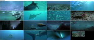 دانلود مستند آتلانتیس با دوبله فارسی Atlantis 1991 دانلود دوبله فارسی مستند آتلانتیس Atlantis 1991
