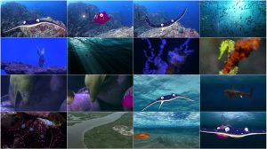 دانلود انیمیشن داستان ماهی Fishtales 2016 دانلود انیمیشن داستان ماهی Fishtales 2016