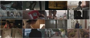 دانلود دوبله فارسی فیلم شیر Lion 2016
