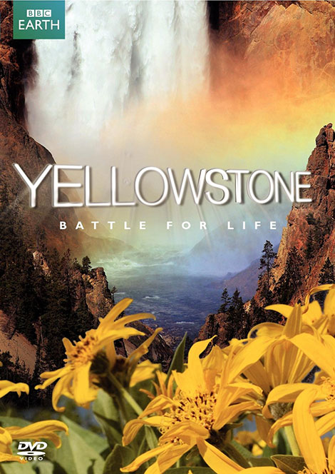 دانلود مستند یلو استون با دوبله فارسی Yellowstone 2009 دانلود مستند یلو استون با دوبله فارسی Yellowstone 2009