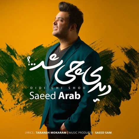 دانلود آهنگ جدید سعید عرب به نام دیدی چی شد