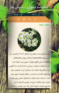 دانلود اپلیکیشن دمنوش های گیاهی ویژه اندروید نرم افزار دمنوش, خواص دمنوش ها, اپلیکیشن اندروید دمنوش, دمنوش گیاهان, فواید گیاهان دارویی