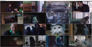 دانلود فیلم رگ خواب با کیفیت 1080p Full HD دانلود رایگان فیلم رگ خواب با لینک مستقیم