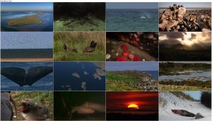 دانلود دوبله فارسی مستند Secrets of the North Sea 2013 دانلود مستند اسرار دریای شمالی با دوبله فارسی