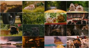 دانلود انیمیشن Tales of the Riverbank 2008 دانلود انیمیشن Tales of the Riverbank 2008