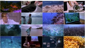 دانلود مستند در تعقیب صخره های مرجانی Chasing Coral 2017 دانلود مستند Chasing Coral 2017