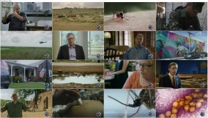 دانلود مستند پشه Mosquito 2017 مستند پشه Mosquito 2017