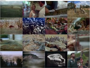 دانلود دوبله فارسی مستند Australia's Animal Mysteries 1984 دوبله فارسی مستند اسرار جانوران استرالیا