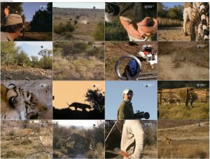 دانلود دوبله فارسی مستند زندگی با ببرها Living with Tigers 2003 دانلود دوبله فارسی مستند زندگی با ببرها Living with Tigers 2003