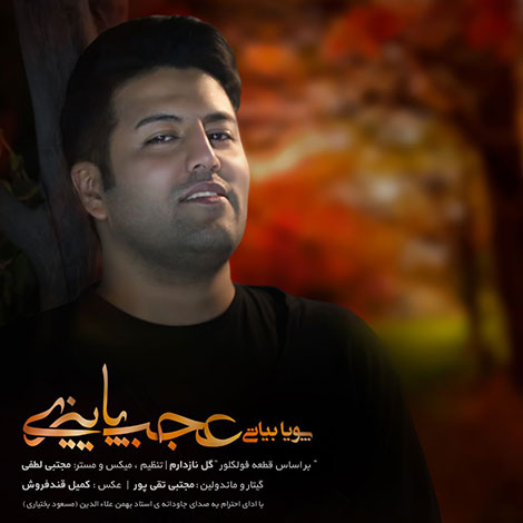 دانلود آهنگ جدید پویا بیاتی به نام عجب پاییزی دانلود آهنگ جدید پویا بیاتی به نام عجب پاییزی