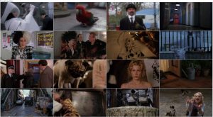 دانلود فیلم ۱۰۲ سگ خالدار Download 102 Dalmatians 2000 دانلود فیلم 102 سگ خالدار 102 Dalmatians 2000