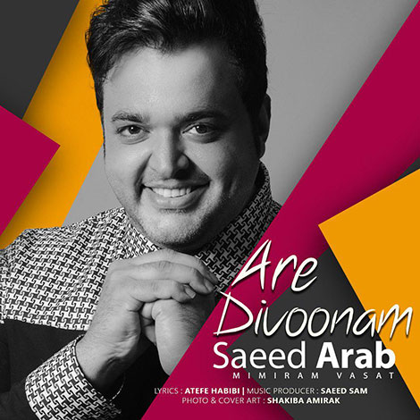 دانلود آهنگ جدید سعید عرب به نام آره دیوونم, جدیدترین آهنگ سعید عرب Saeed Arab, دانلود رایگان آهنگ سعید عرب بنام آره دیوونم Are Divoonam, ترانه آره دیوونم