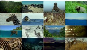 دانلود مستند زمین: یک روز شگفت انگیز Earth: One Amazing Day 2017
