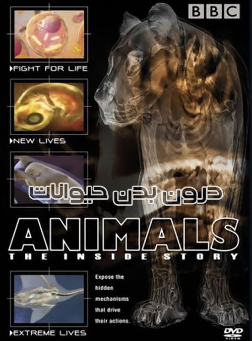 دانلود دوبله فارسی مستند Animals: The Inside Story 2002 دانلود دوبله فارسی مستند درون بدن حیوانات Animals The Inside Story