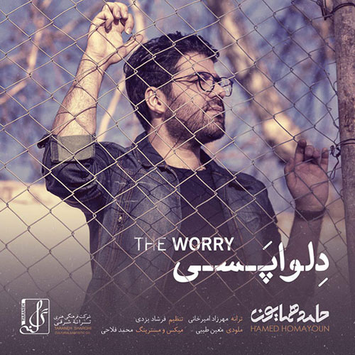 دانلود آهنگ جدید حامد همایون به نام دلواپسی