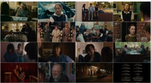 دانلود فیلم لیدی برد Lady Bird 2017 دانلود دوبله فارسی فیلم لیدی برد Lady Bird 2017