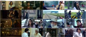 دانلود دوبله فارسی فیلم پیکو Piku 2015