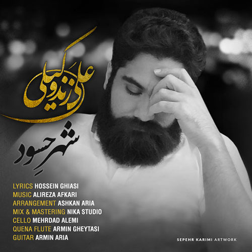 دانلود آهنگ شهر حسود از علی زند وکیلی Ali Zand Vakili